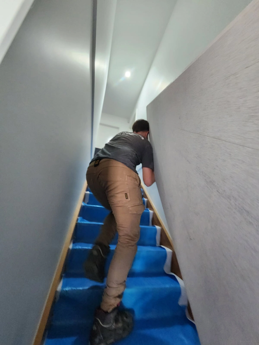 5555587567862084398.jpg