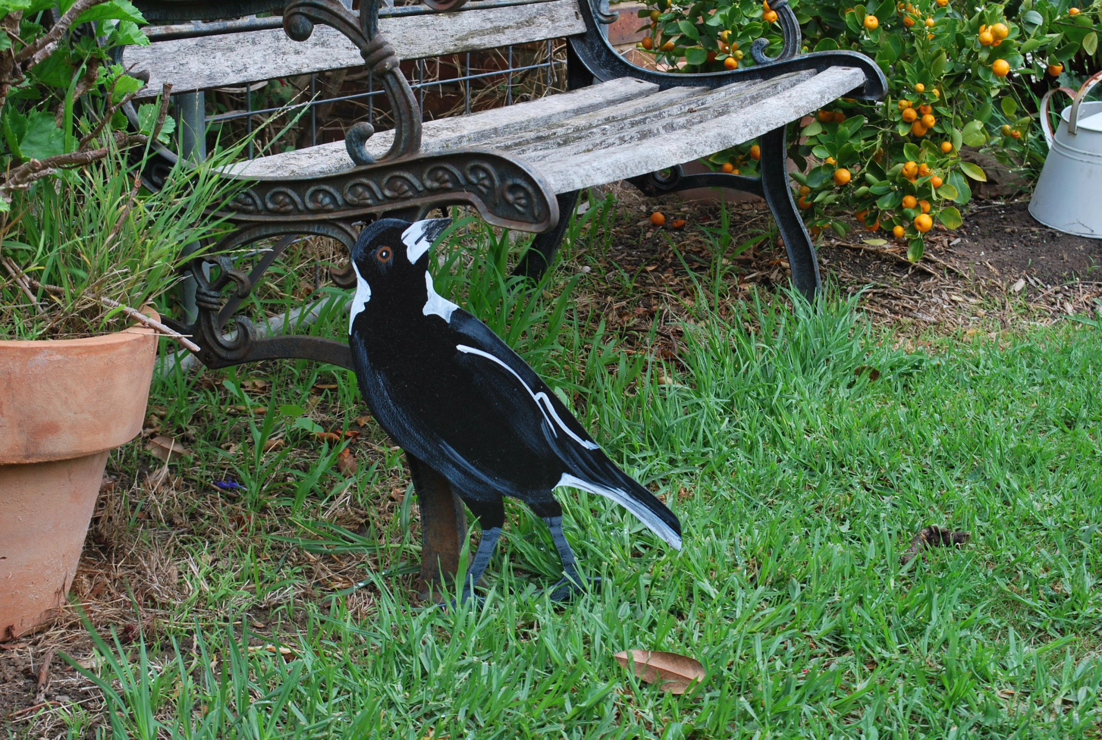 Magpie No.2.jpeg
