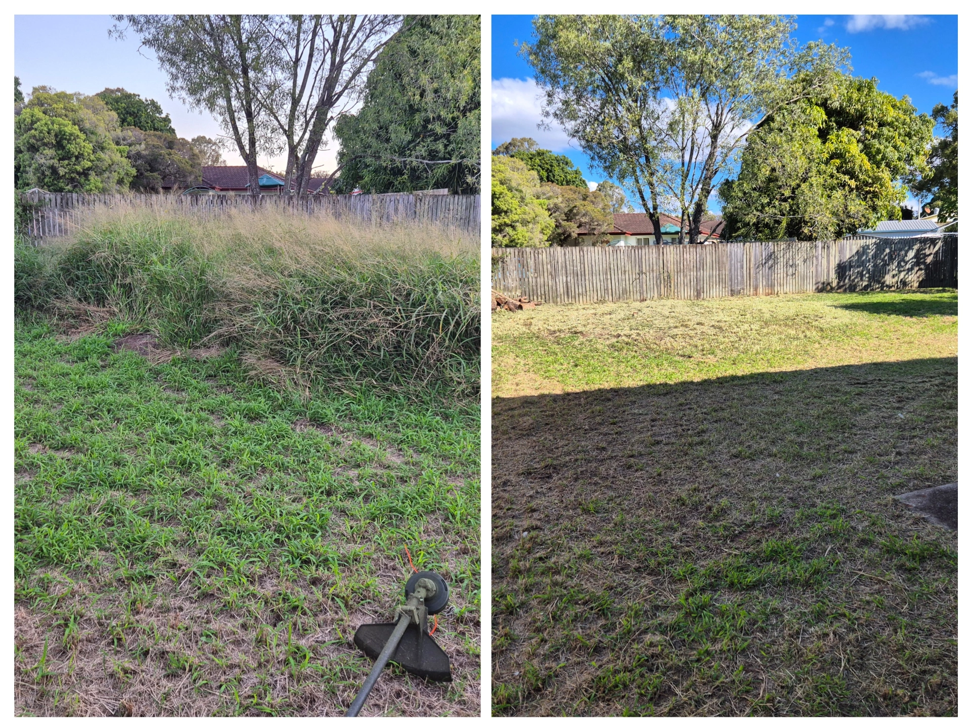 Ipswich over grown lawn specialists