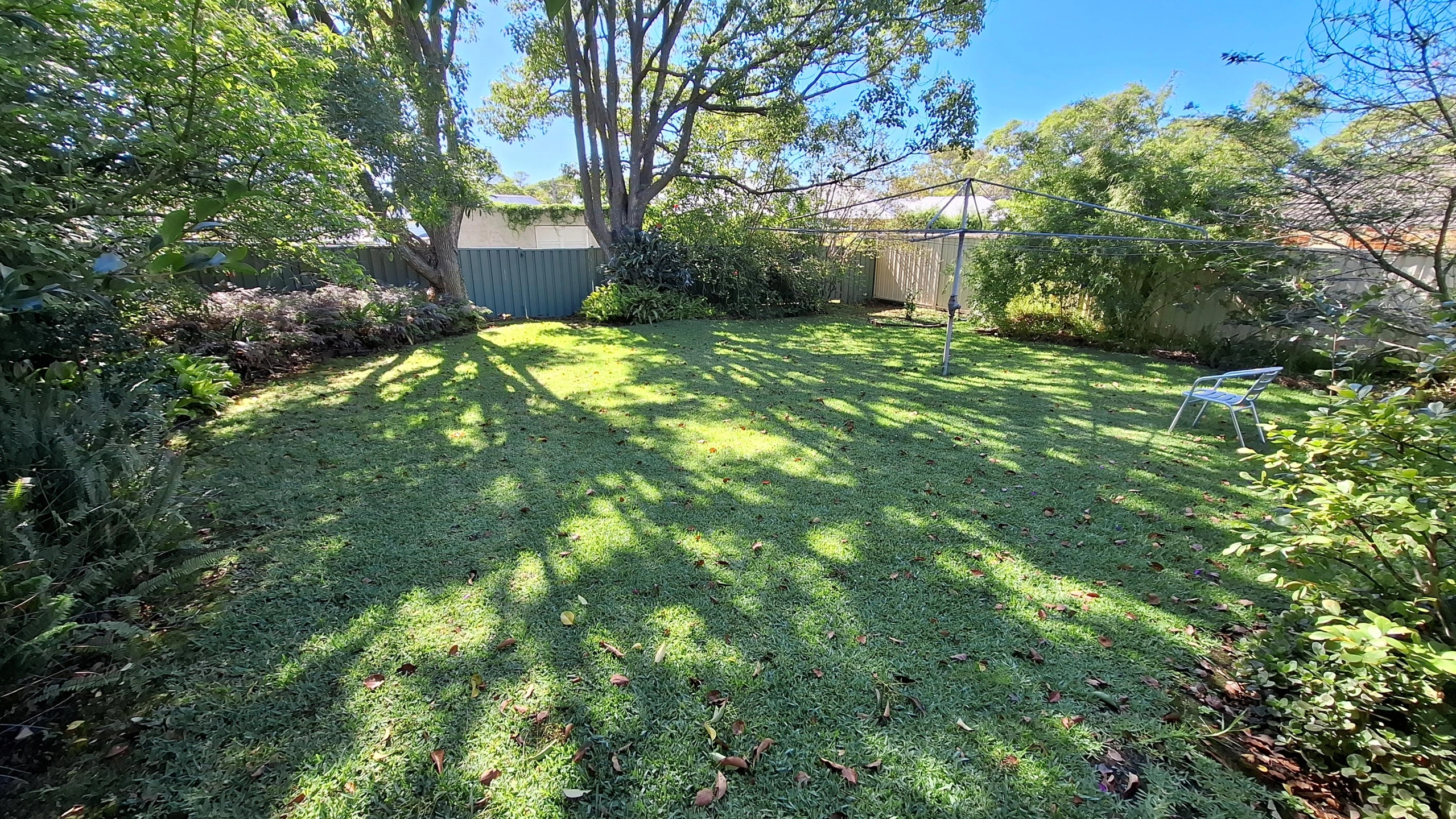 Client C Back Yard Before.jpg