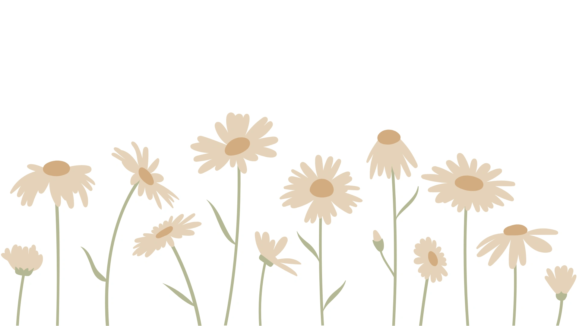 Bellwood Lane Blooms - Website Banners (8).png