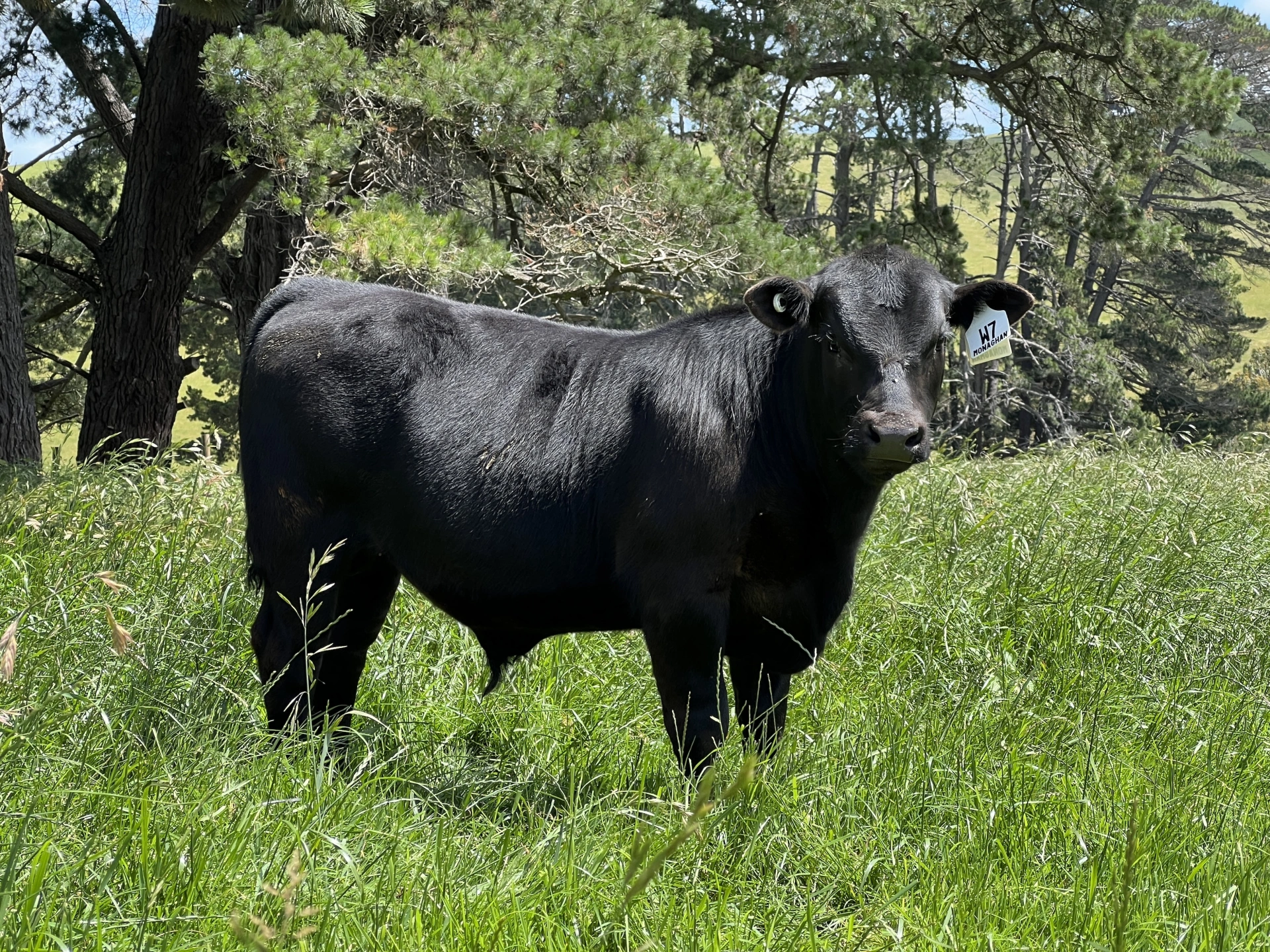 W7 December 2025.jpeg