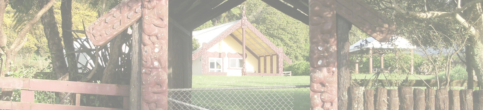 Hangi Tuturu Banner.jpg
