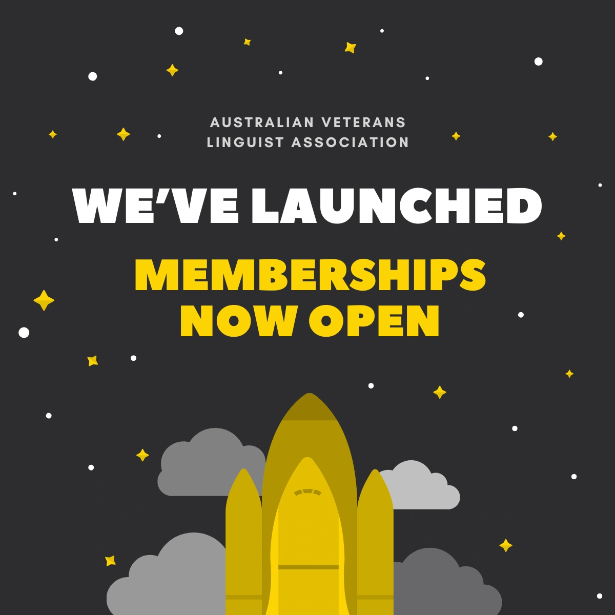 AVLA Launch.png
