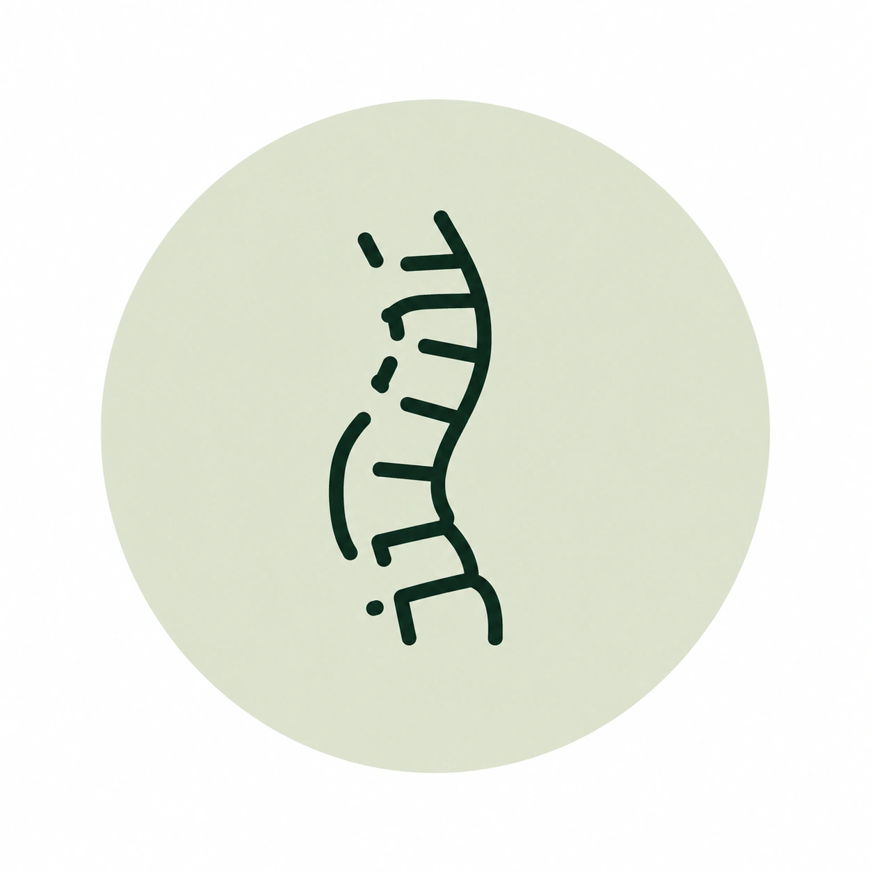 Isolated spine icon on white.png