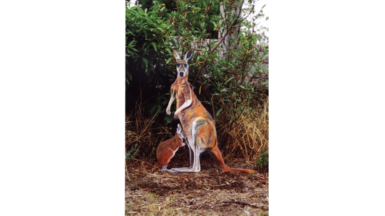 Kangaroo and Joe (resize 2).jpg