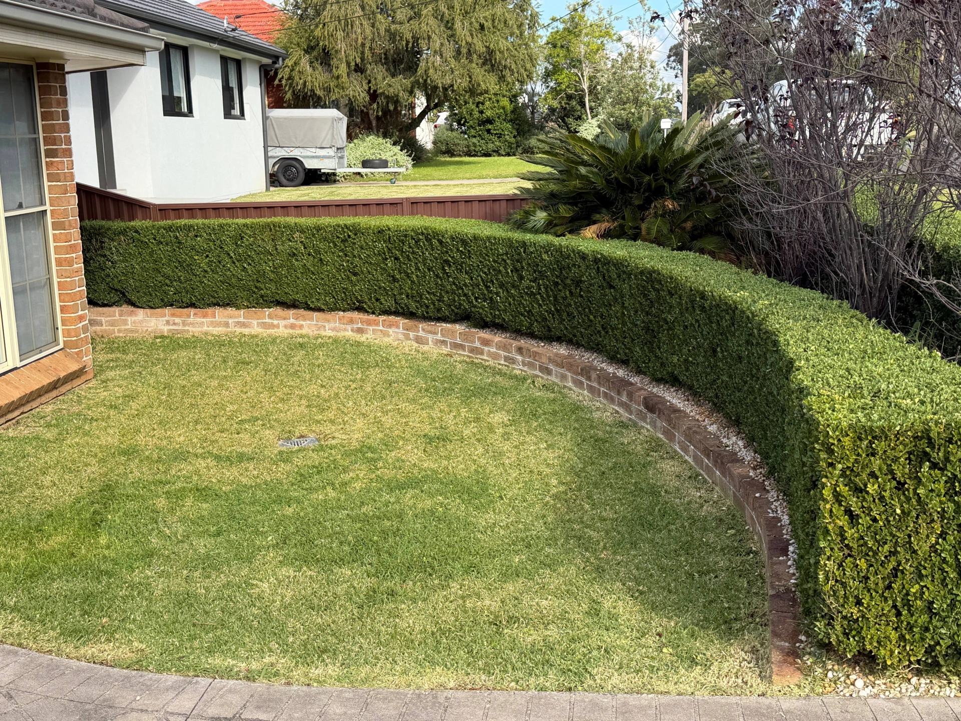 Curved hedge after 2.jpg