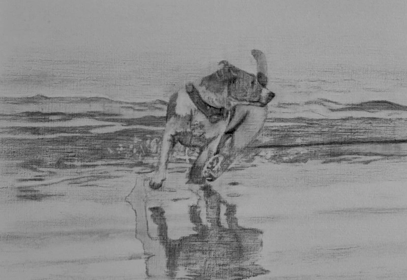 JR on beach sh.jpg