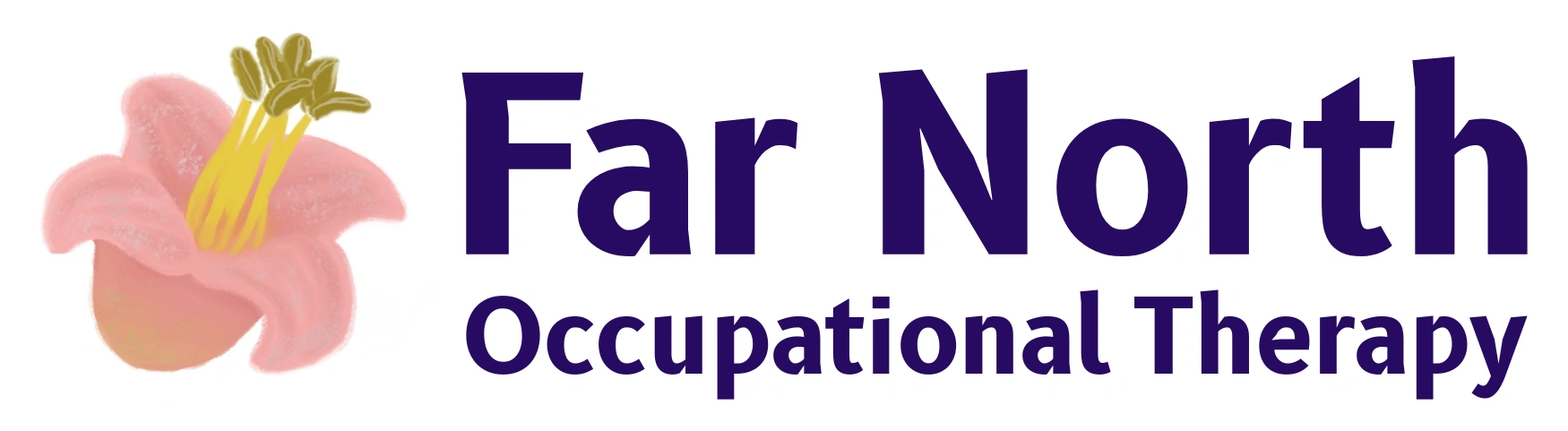 Far North Occupational Therapy