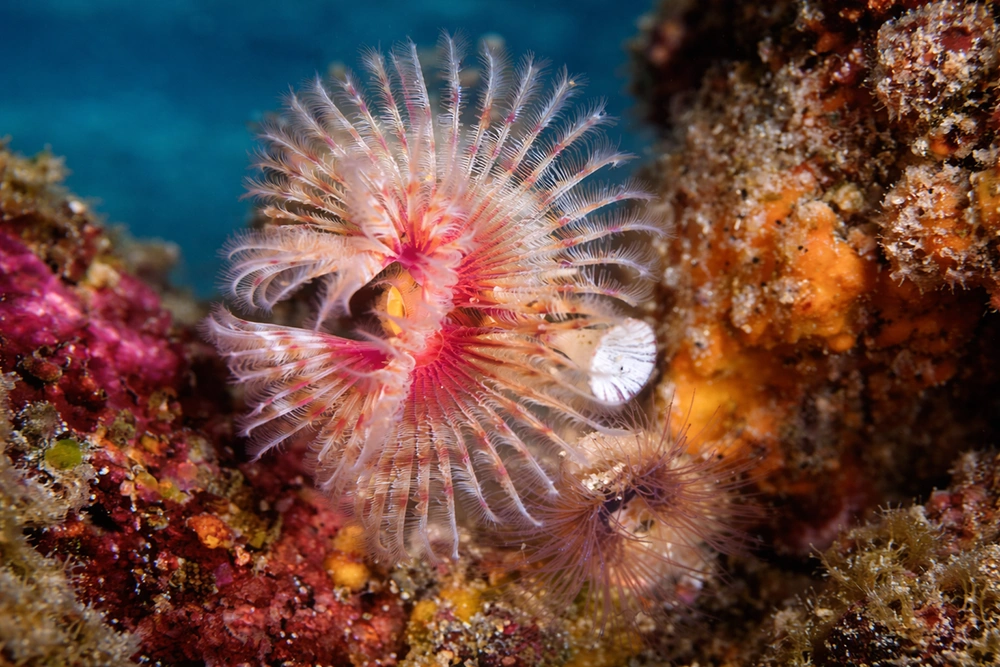 ChatGPT Image Mar 7, 2026, 10_31_26 PM.png