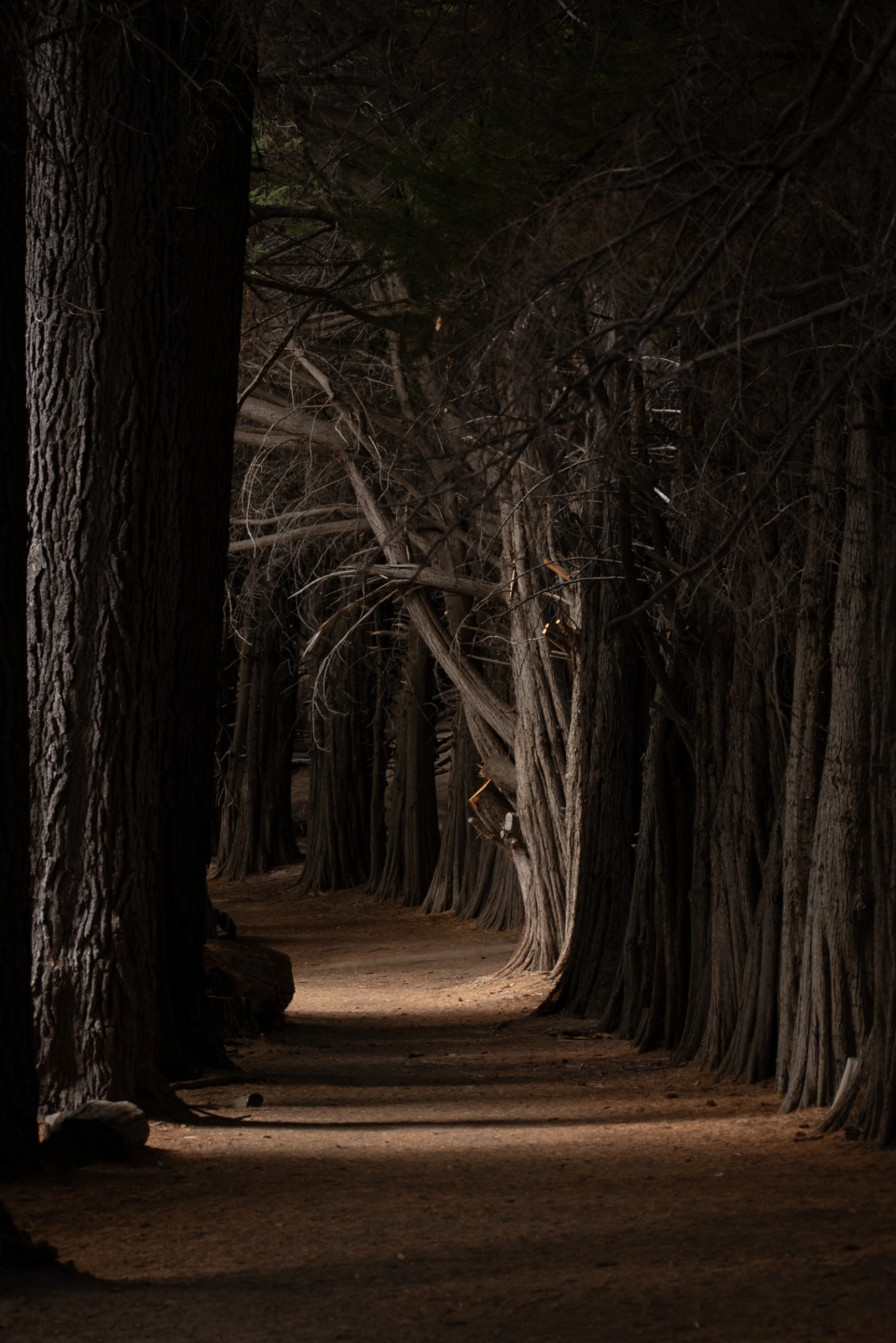 Bariloche y Patagonia-440.jpg