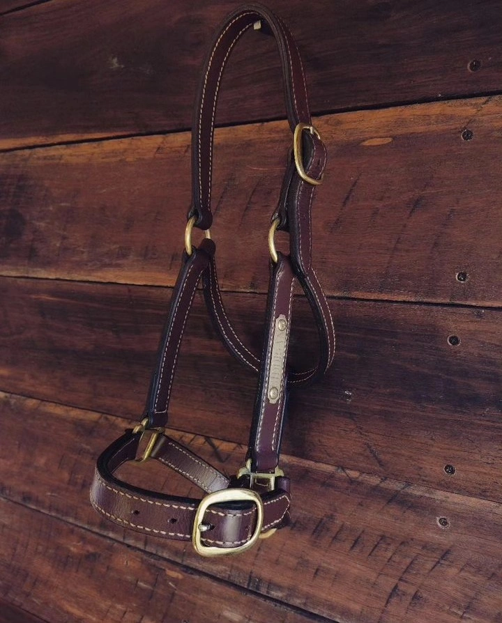 LEATHER-HEADCOLLAR-HAND-STITCHED-AUSTRALIA.jpg