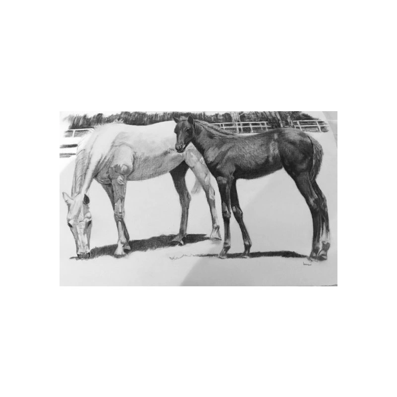 two horses sh web.jpg