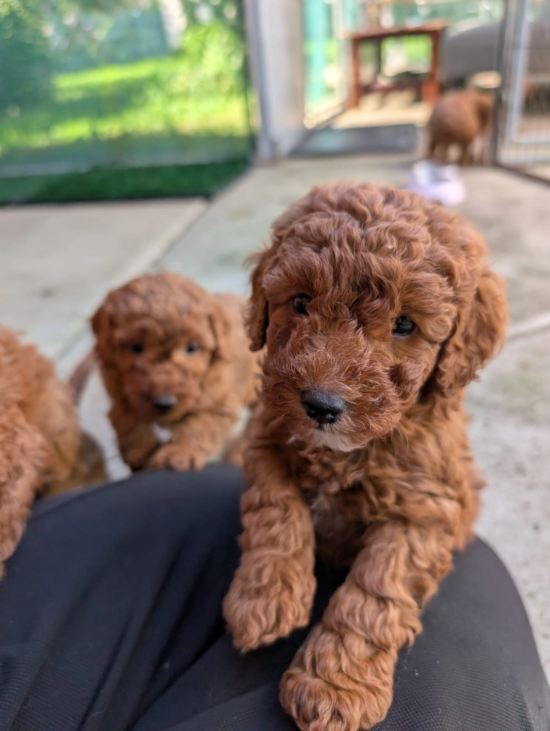 6 eeeks - 2026-03-31 at 5.07.45 PM.jpeg