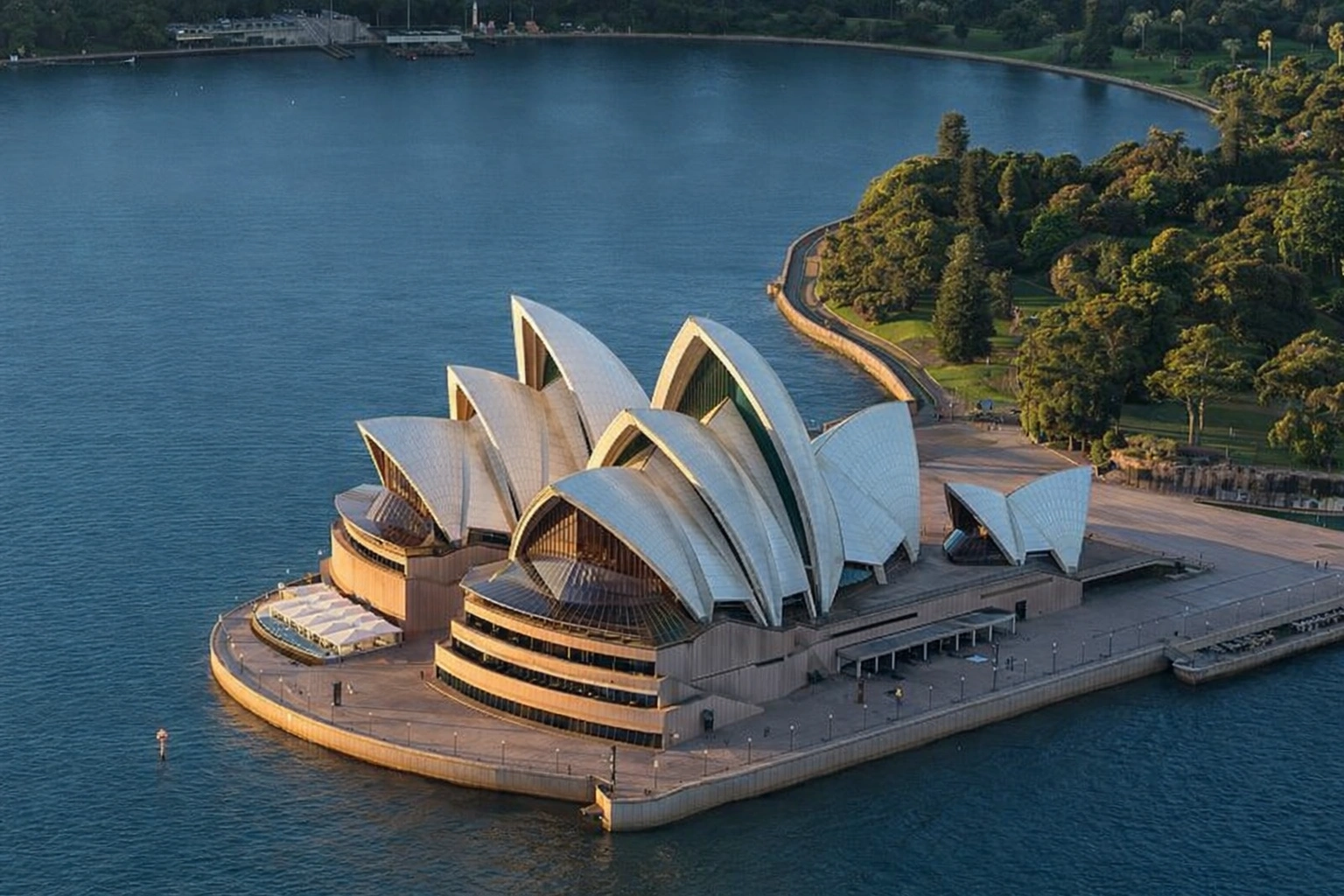 ChatGPT Image Feb 8, 2026, 09_20_20 AM.png