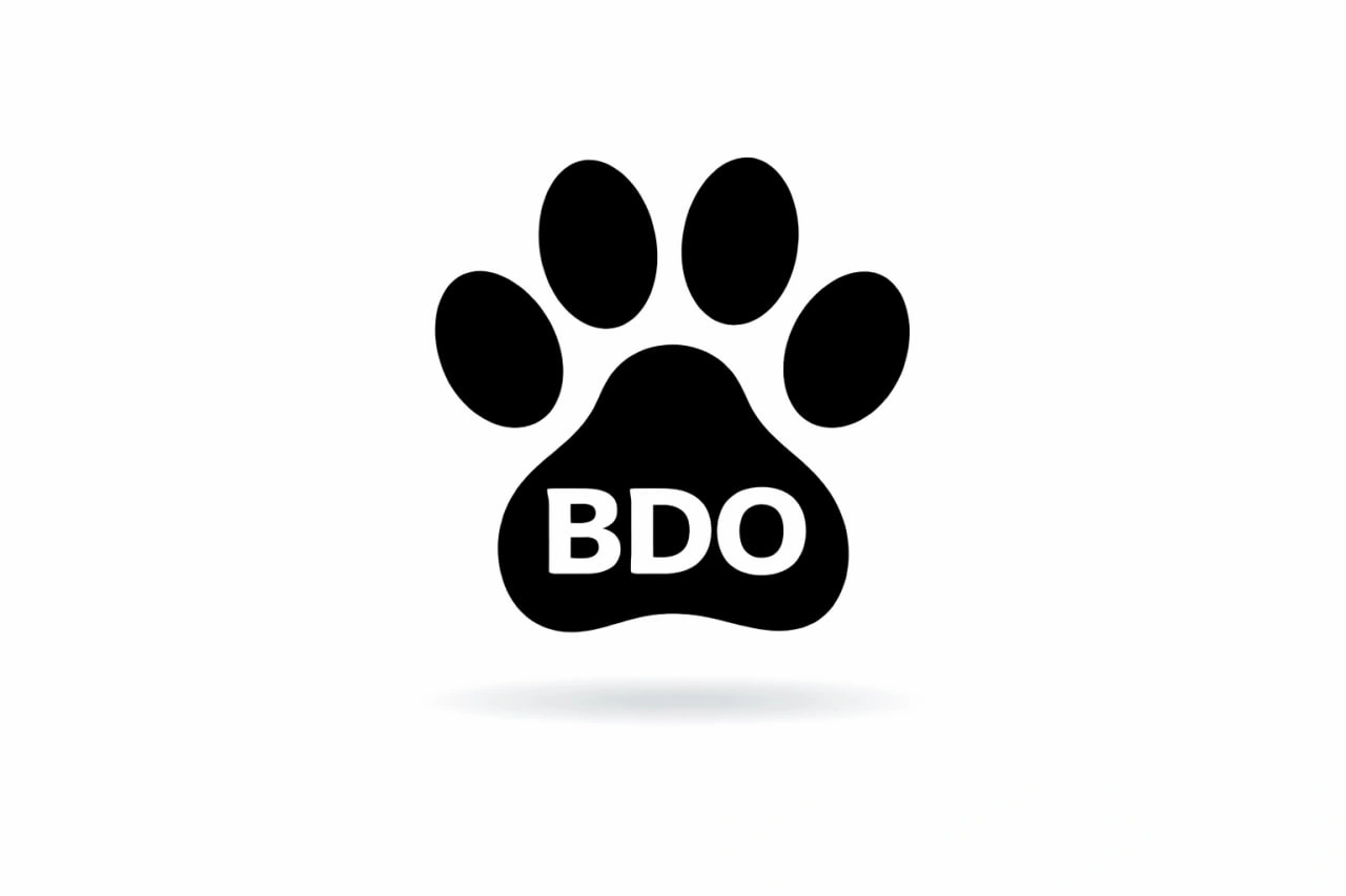 BDO Business card.jpg