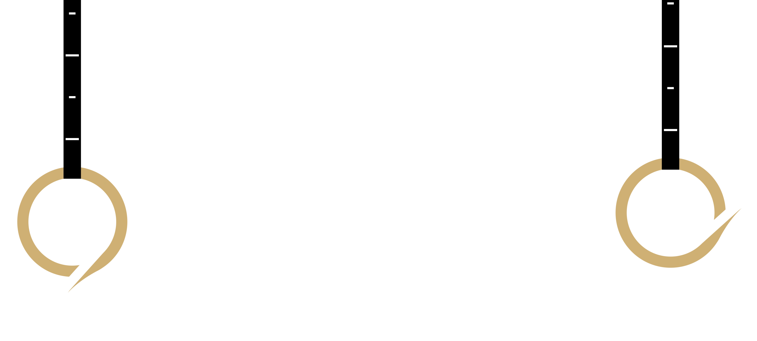 VIPSites Media