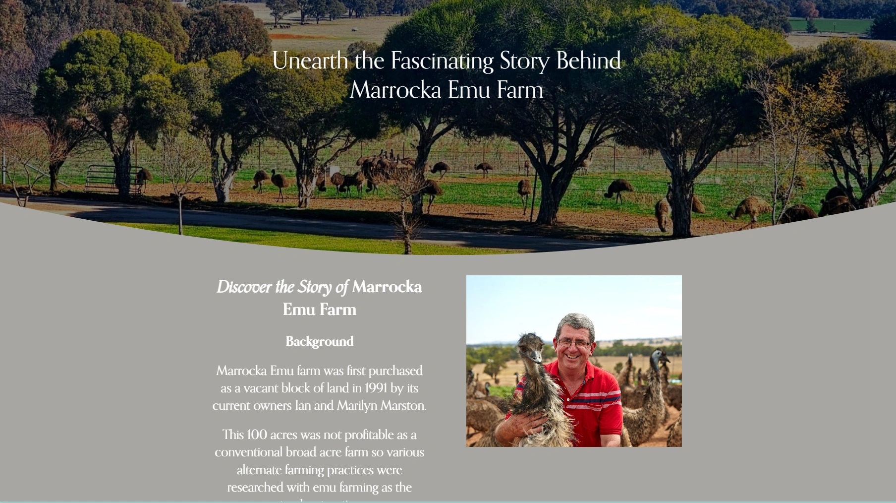 Screenshot 2025-06-06 130322.png