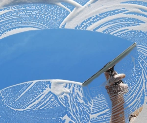 window cleaning.png