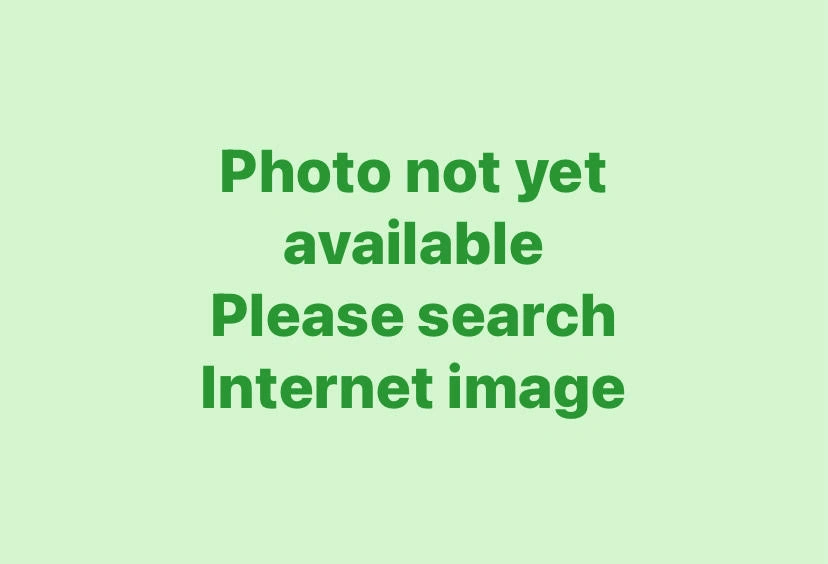 NoPhoto.jpg