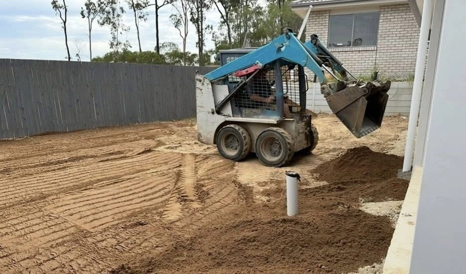 Bobcat.jpg