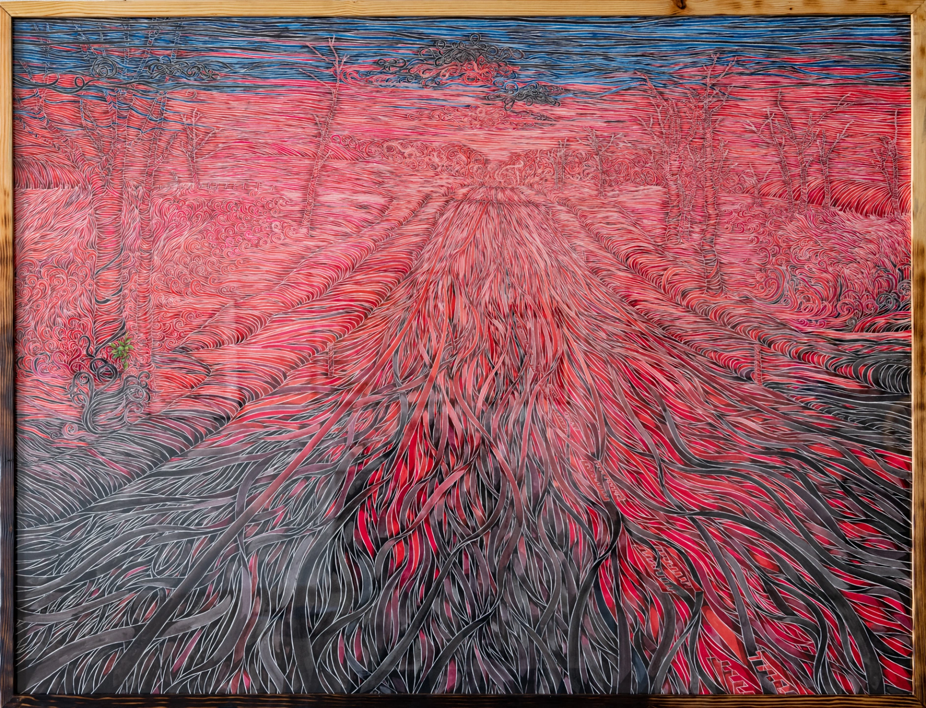 2020 Overall Winner Ping Carlyon 2020.jpg