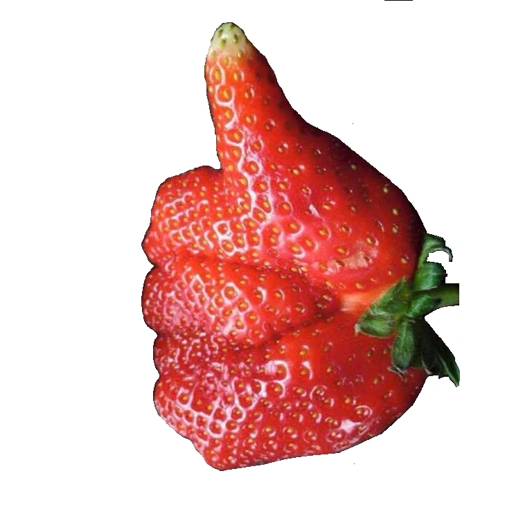 78993240_2724490177597860_7544635815255605248_n.png