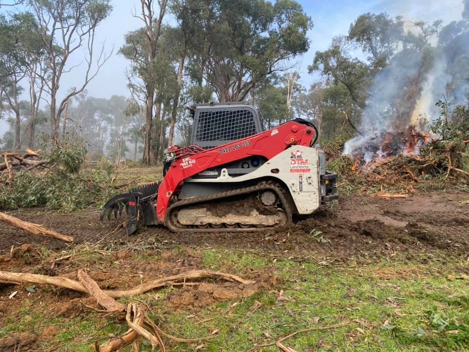 Fire clearing.jpg