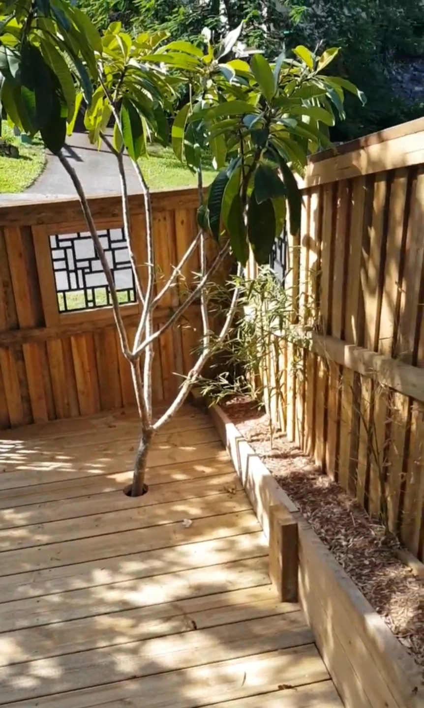 Deck and Fence QLD.jpg