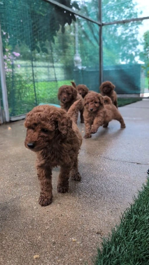 5 weeks - March 26 -4.jpeg