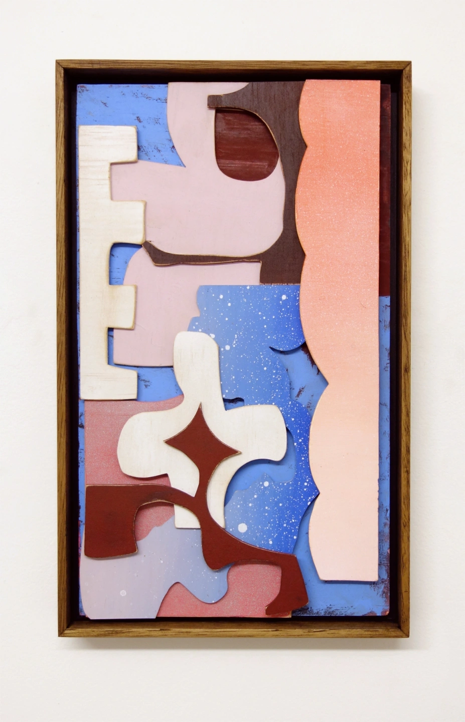 Donaldson Cryptic Era 12.jpg