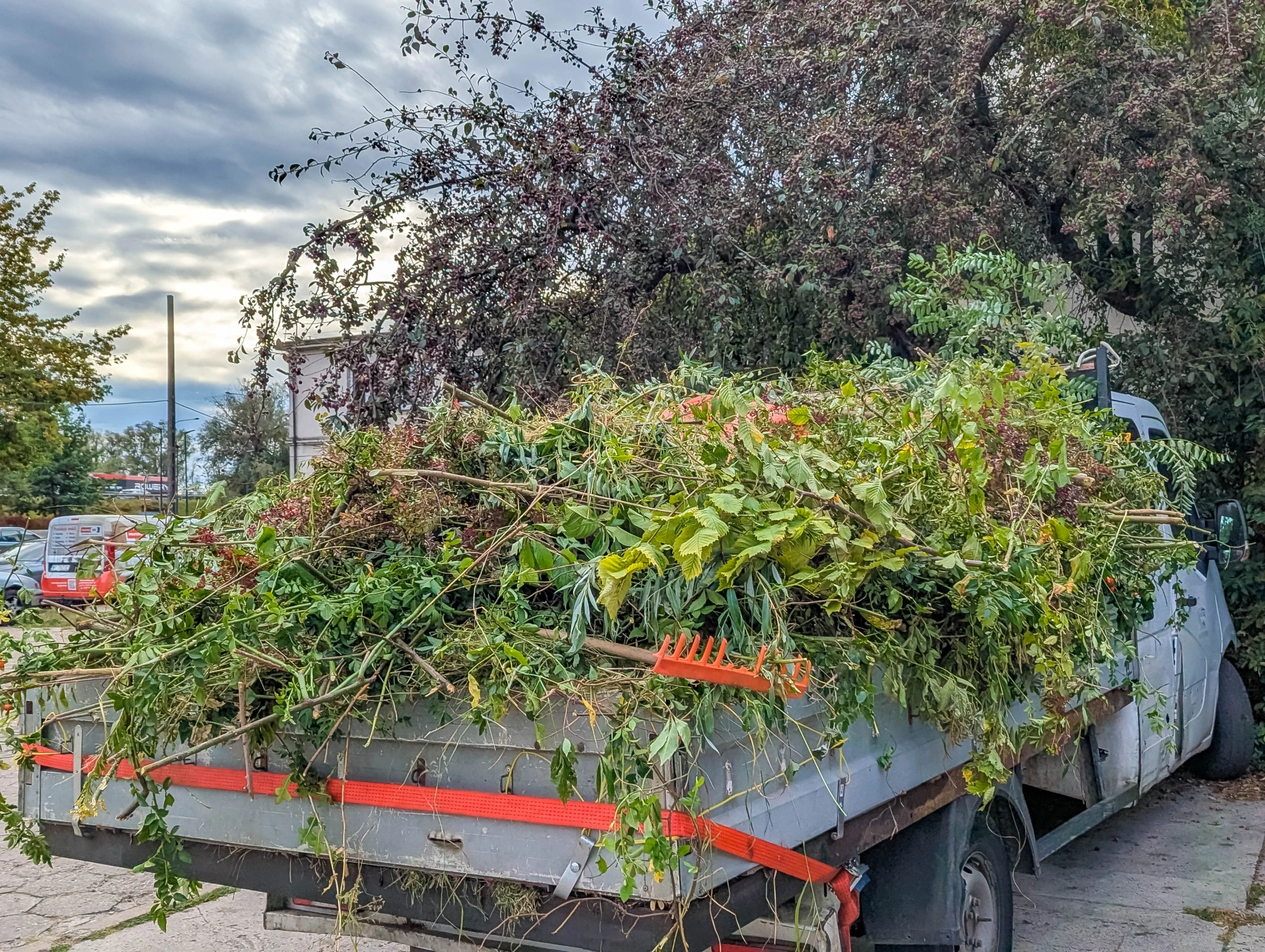 Green waste removal brisbane truck.jpg