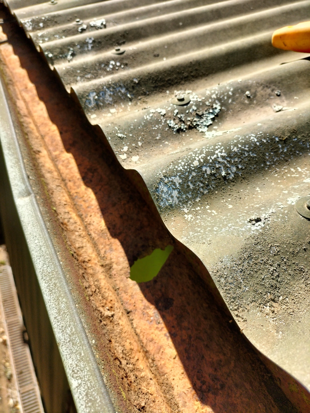 Gutter cleaning pic 2.jpg