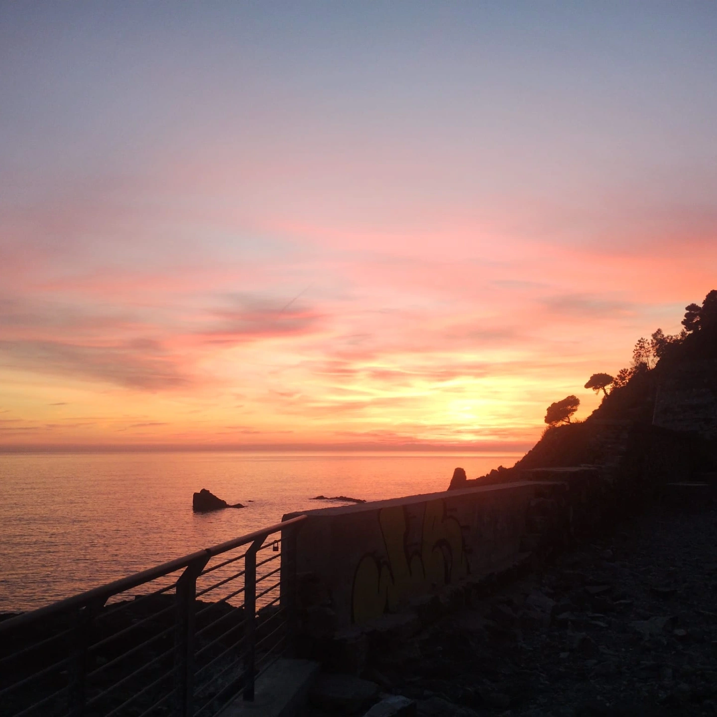 IMG_20260215_184622_520.webp