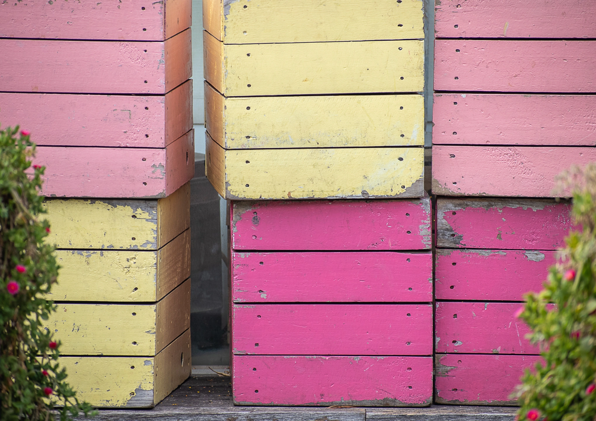 Melbourne with MHE Gang-42.jpg