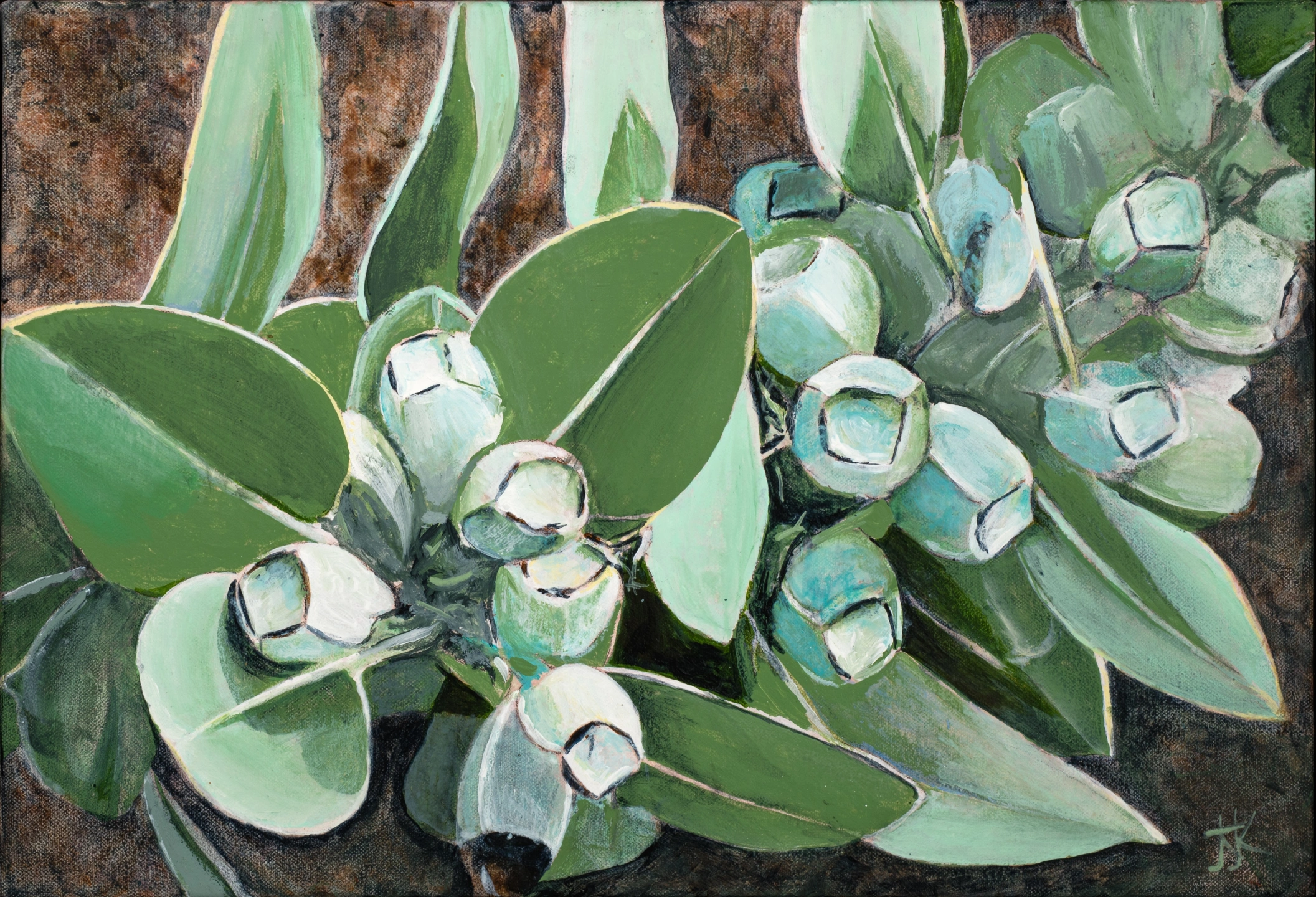 BEFORE THE BLOOM.jpg