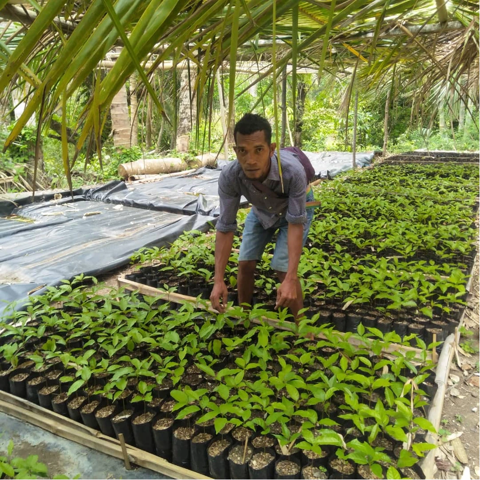 Baguia Nursery 4.png