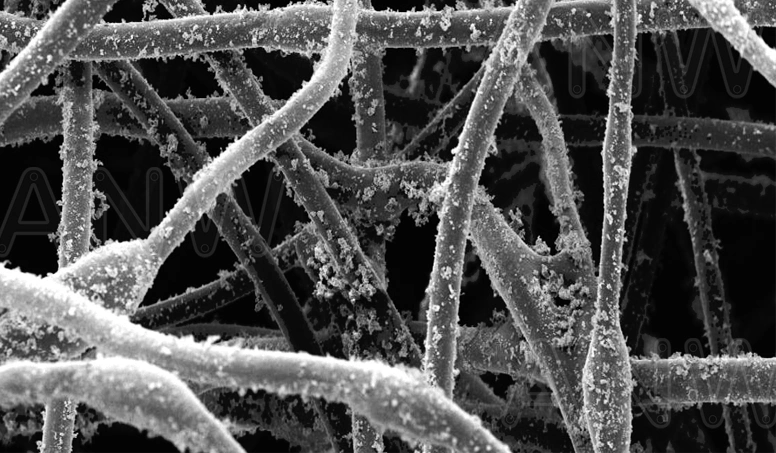 Fibres---magnified2B.png