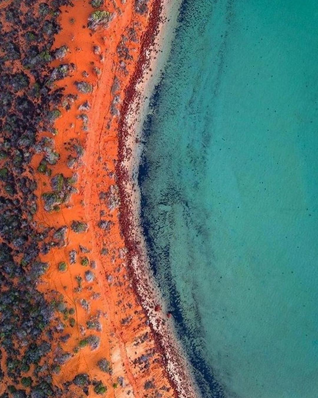 Untitled design (3).png