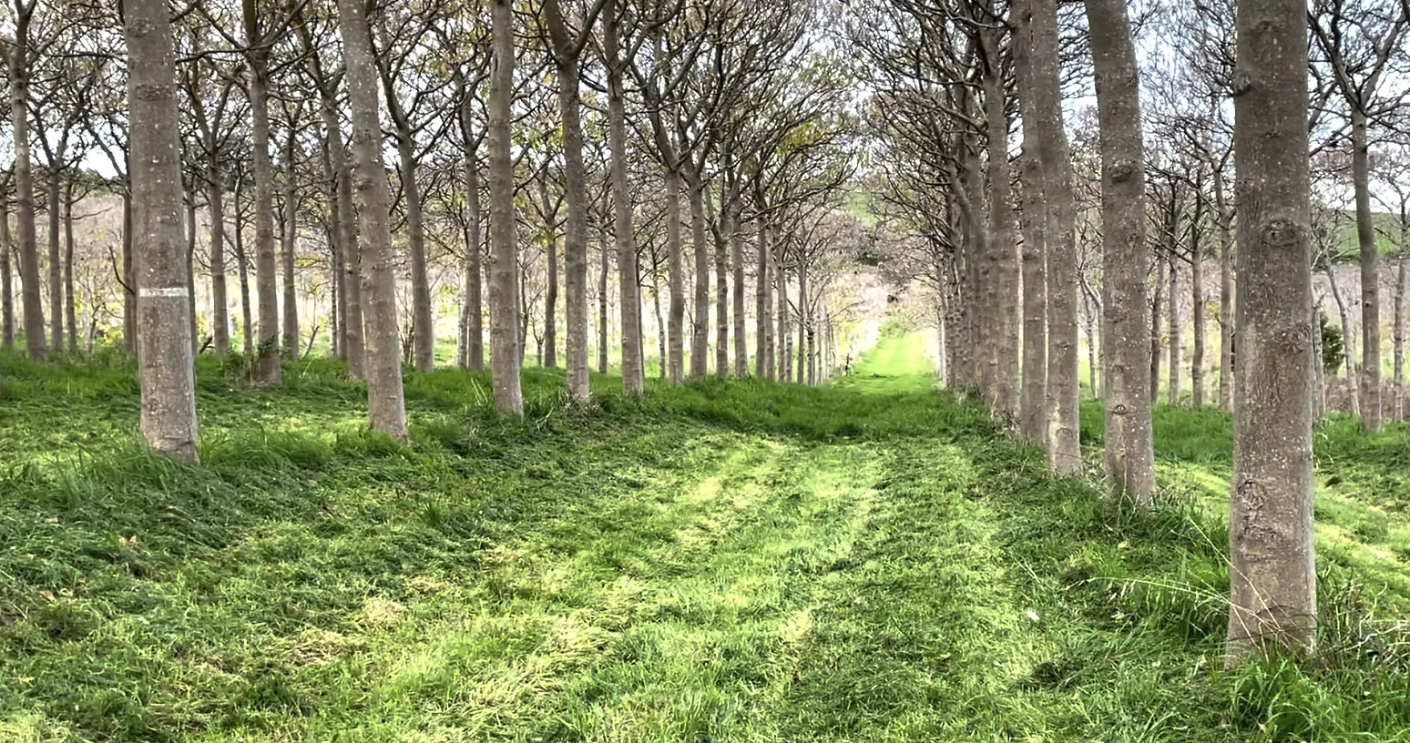 Screenshot 2026-02-15 at 3.53.15 pm.png