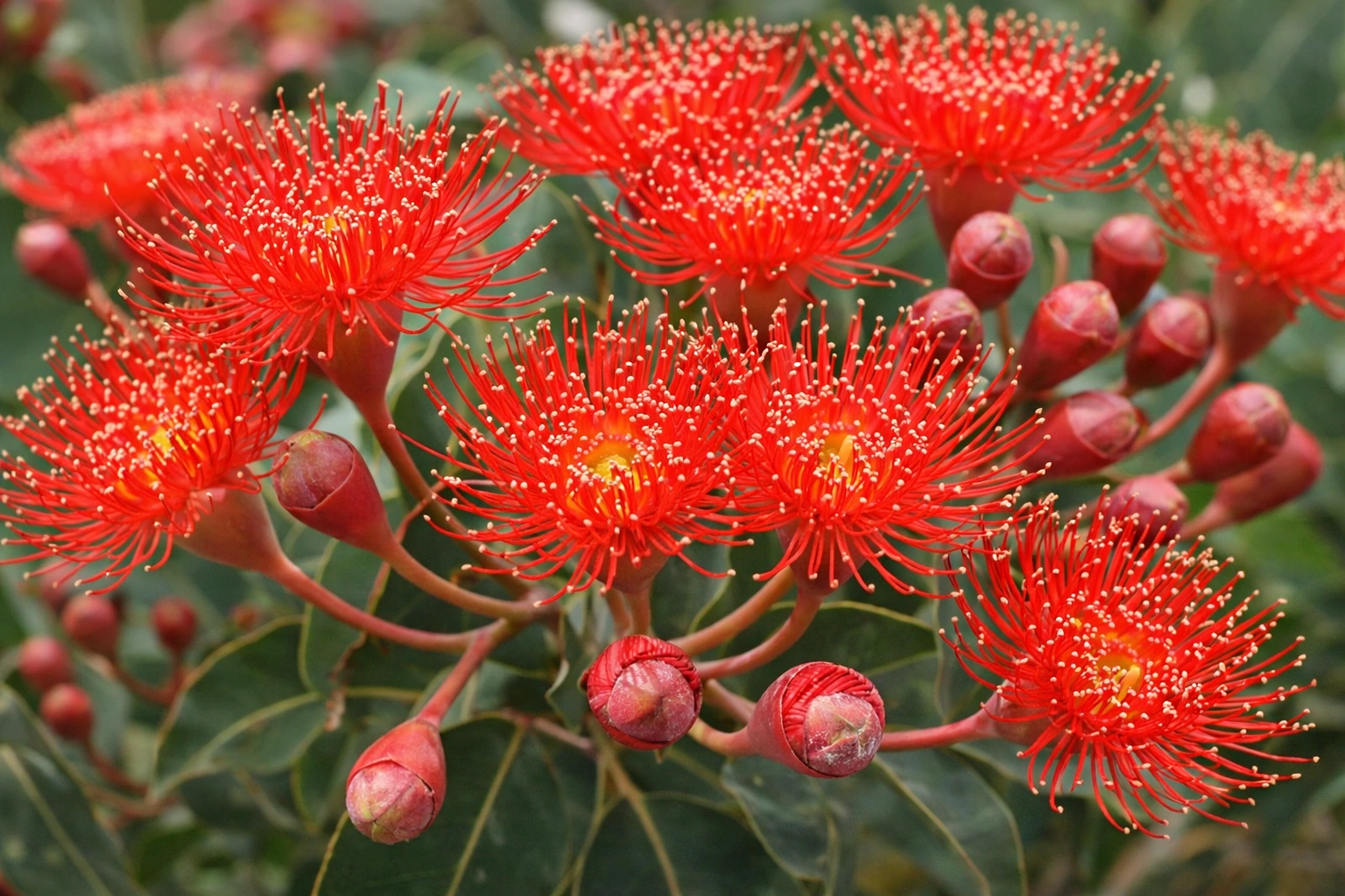 ChatGPT Image Feb 8, 2026, 08_53_20 AM.png