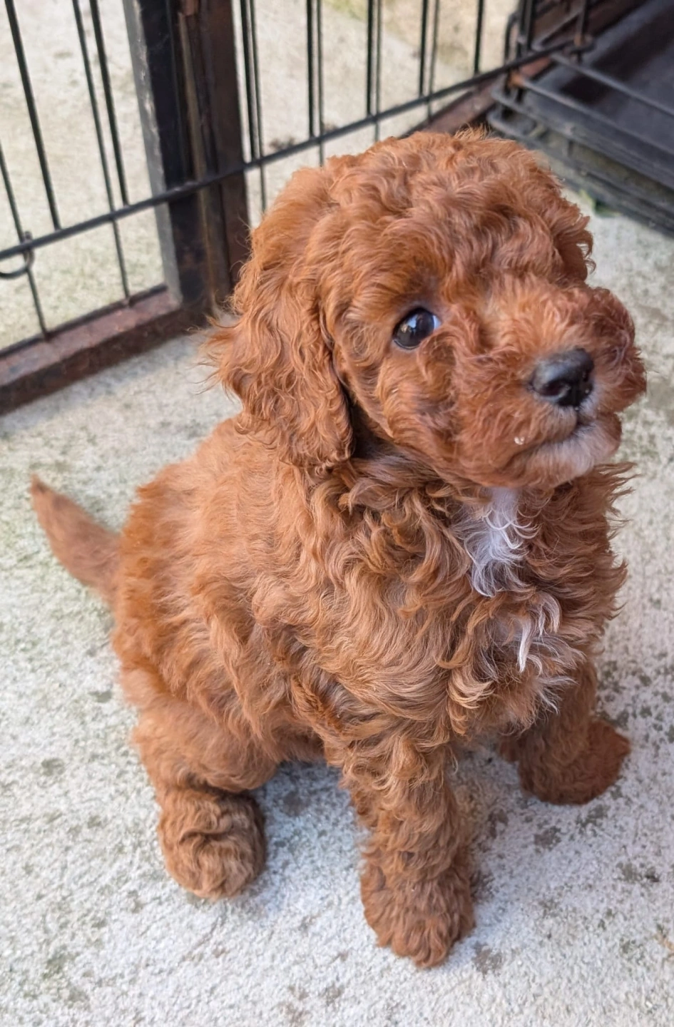 6 eeeks - 2026-03-31 at 5.07.44 PM 3.jpeg