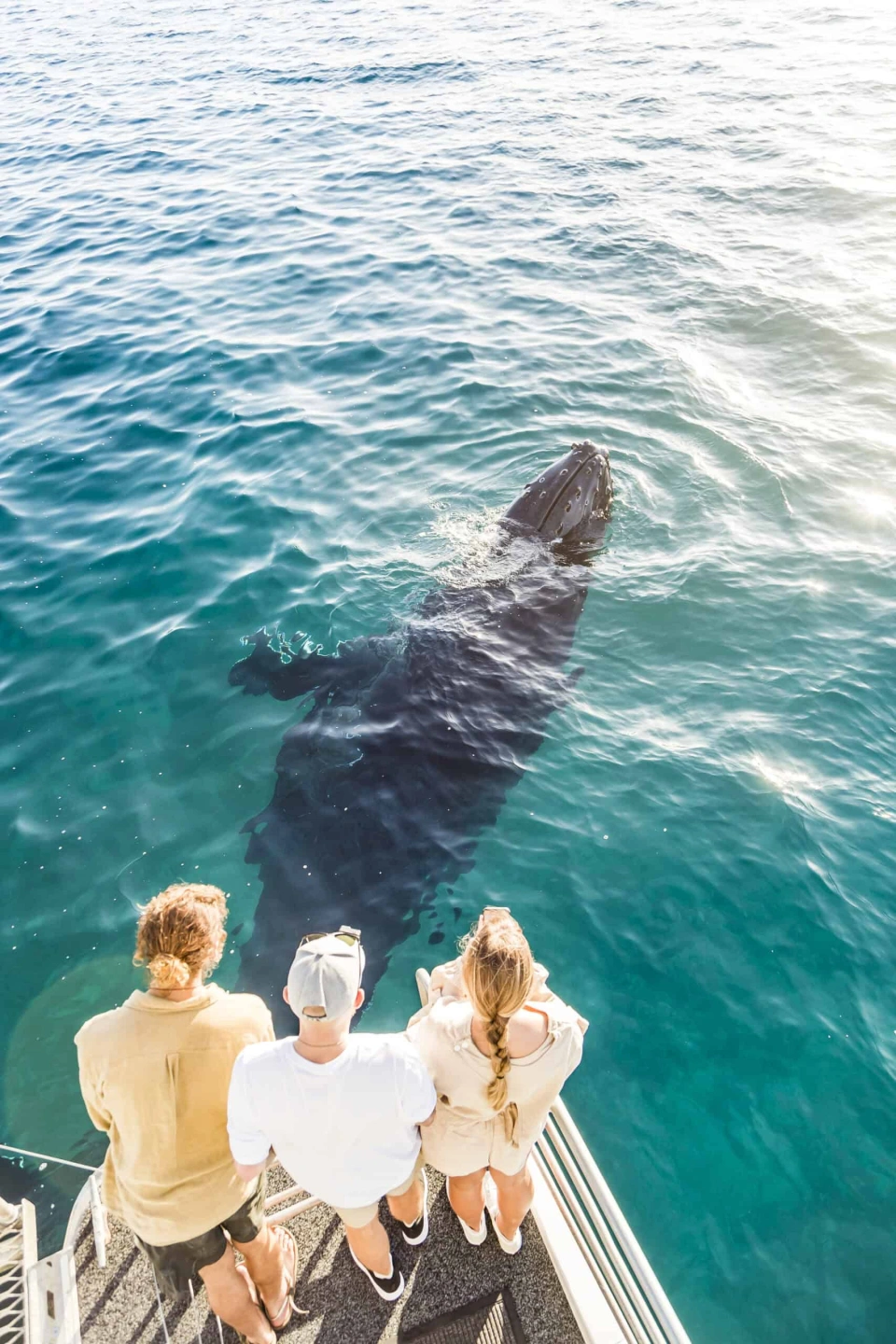 HB Whale Sanctuary 3.jpeg