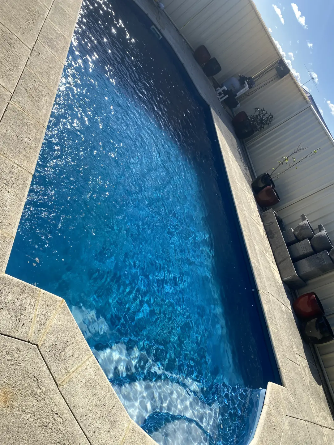 IMG_3780.jpeg
